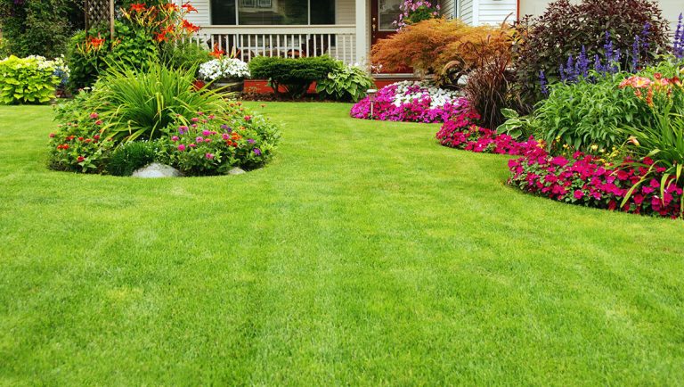 blog_lawn-photo-1150x650